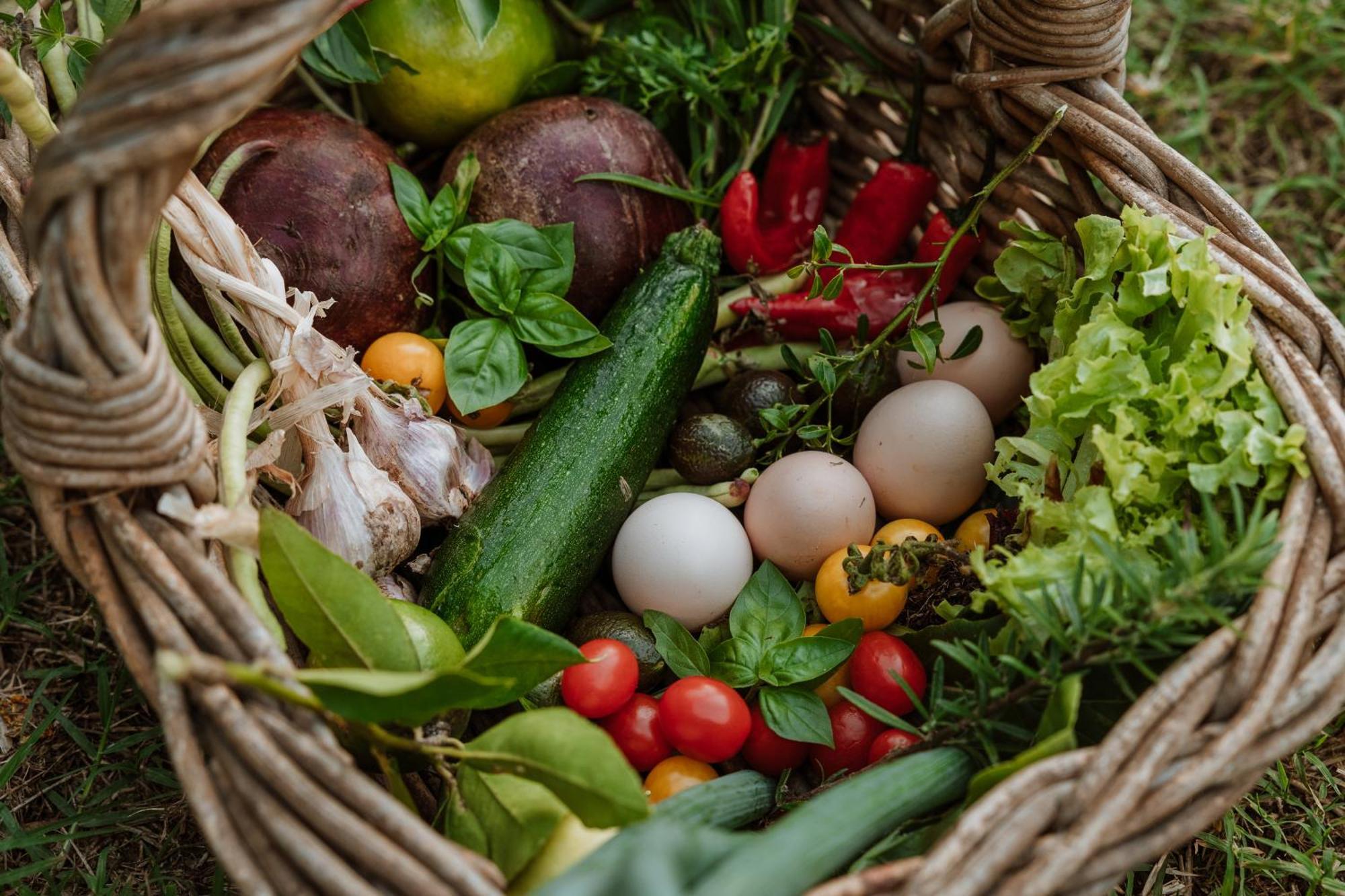 Blackwattle Farm Beerwah Εξωτερικό φωτογραφία