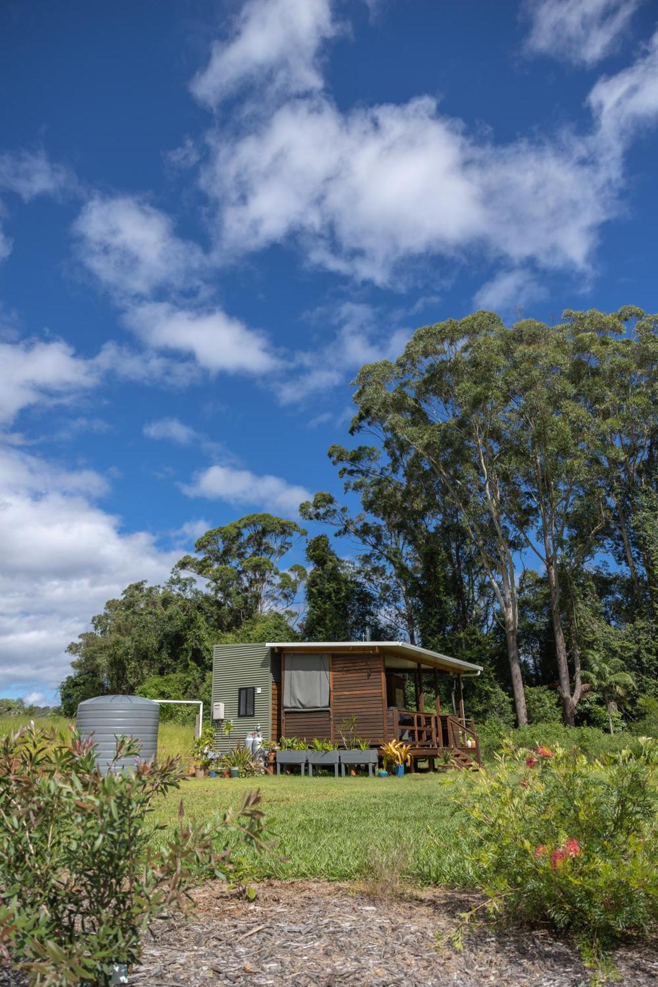 Blackwattle Farm Beerwah Δωμάτιο φωτογραφία