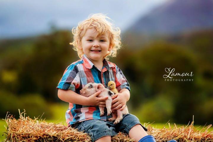 Blackwattle Farm Beerwah Εξωτερικό φωτογραφία